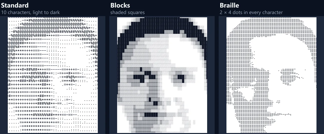 The same face in three character sets: Standard characters, shaded block characters and Braille dots