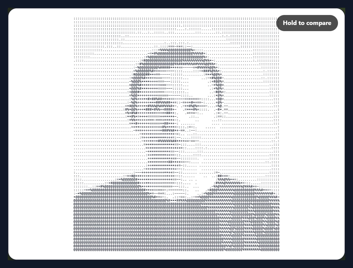 The ASCII art generator showing a portrait drawn in characters