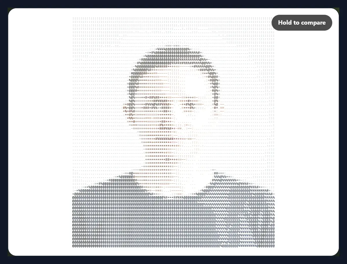 The portrait as ASCII art in colour, each character tinted with the skin, hair and shirt colours of the photo