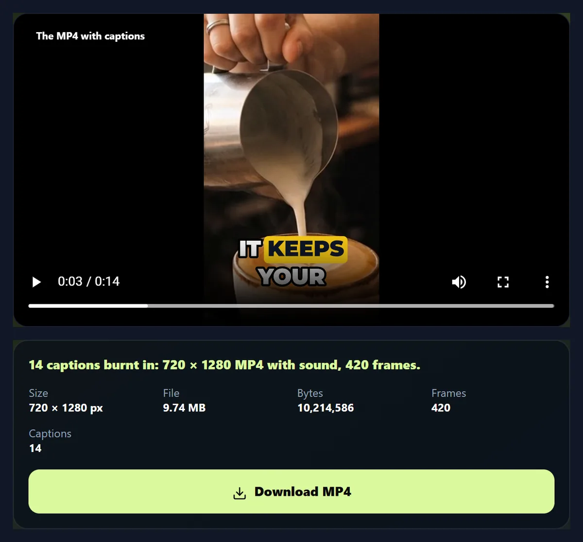 The vertical video with word-box captions burnt in, playing in the tool, with its size and frame count below