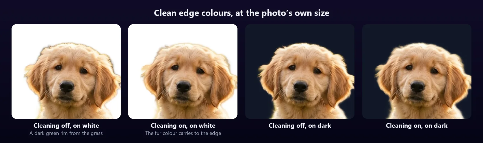 Four close-ups of the puppy cutout at full resolution: on white without cleaning, with a dark green rim round the fur; on white with cleaning, the rim gone; and the same pair on a dark background