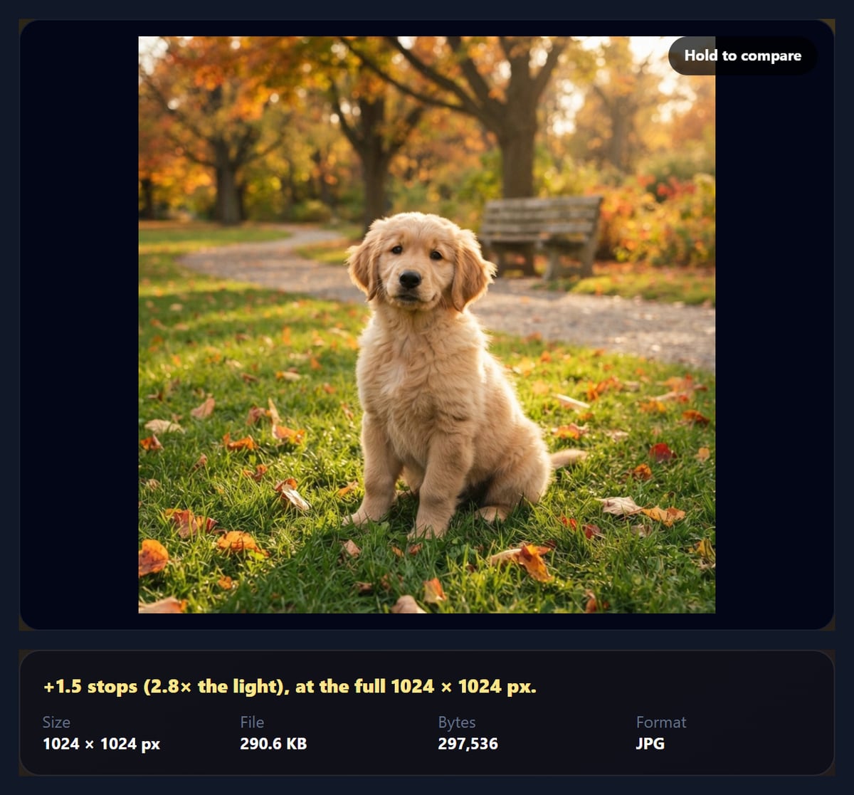The brighten tool after Auto brighten on a dark puppy photo