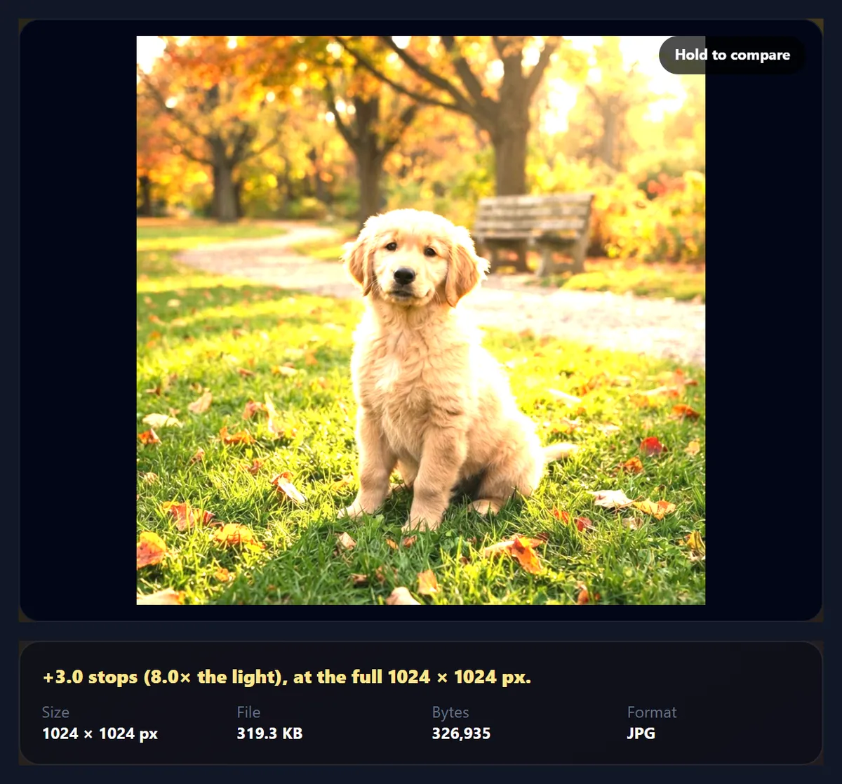 The puppy photo pushed three stops brighter with large areas clipped to white