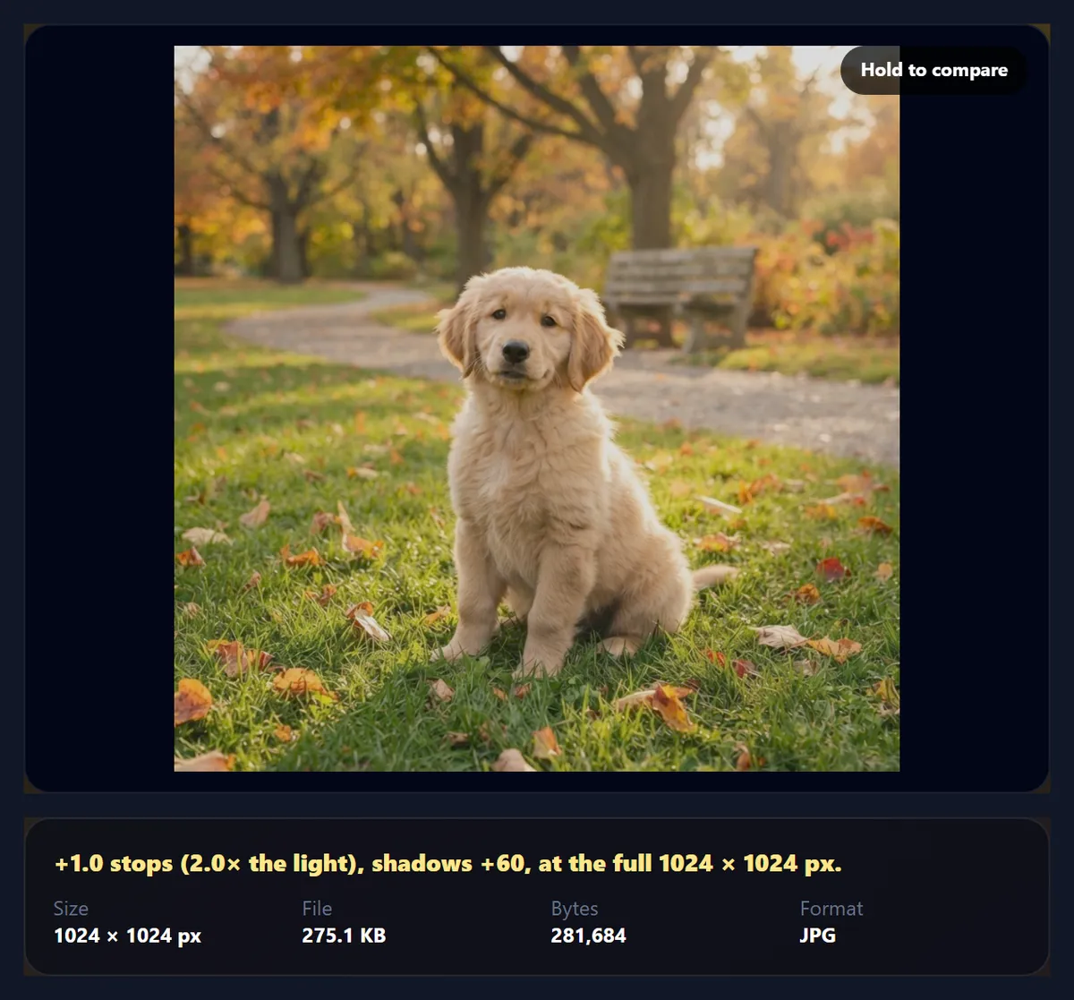 The puppy photo brightened with one stop of exposure and a strong shadow lift