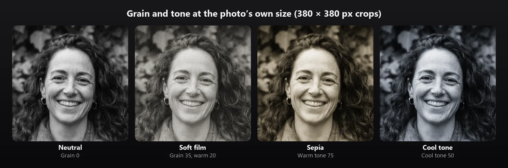 Four close-ups of the portrait's face at the photo's own resolution: Neutral without grain, Soft film with visible grain and a slight warm tint, Sepia with a brown tint and Cool tone with a blue-grey tint