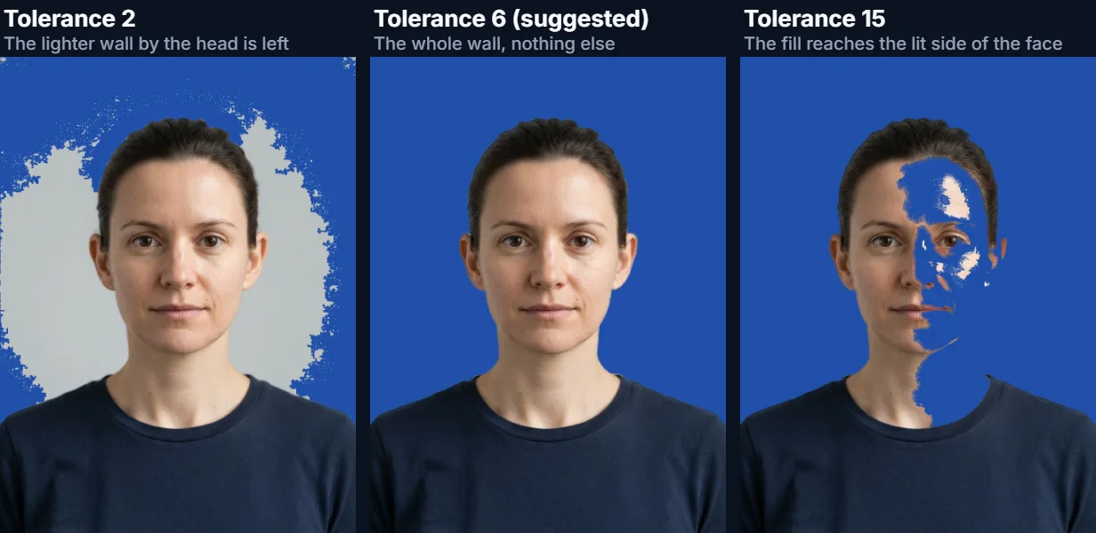 The portrait’s background replaced at tolerance 2, 6 and 15