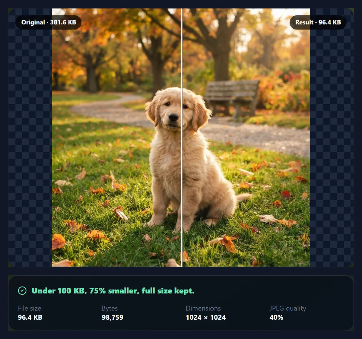 The compression tool keeping the puppy photo at its full 1024 by 1024 size under 100 KB