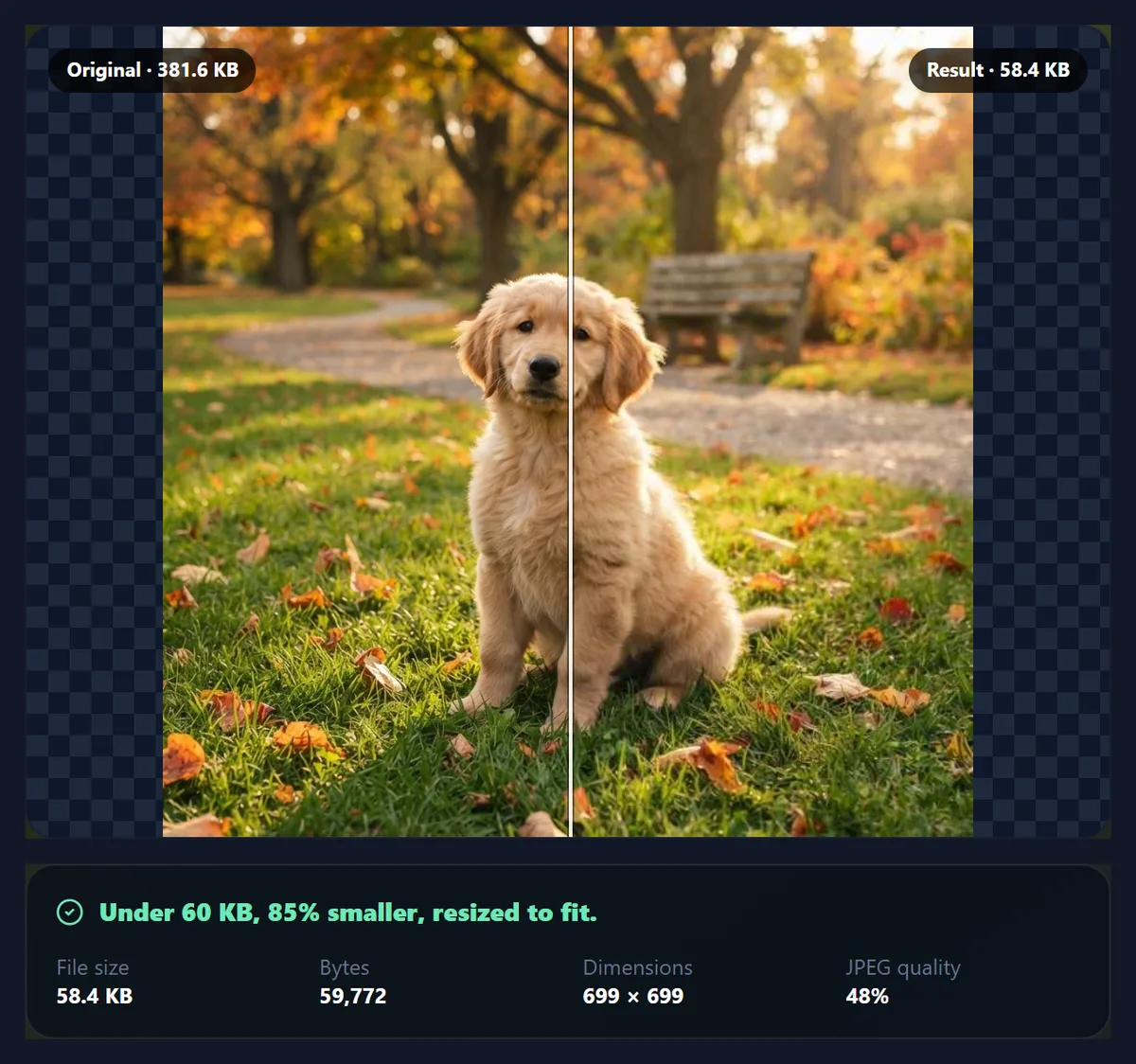 The tool compressing the puppy photo to under 60 KB