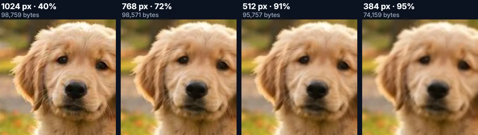 The same detail from the puppy photo compressed under 100 KB at 1024, 768, 512 and 384 pixels wide