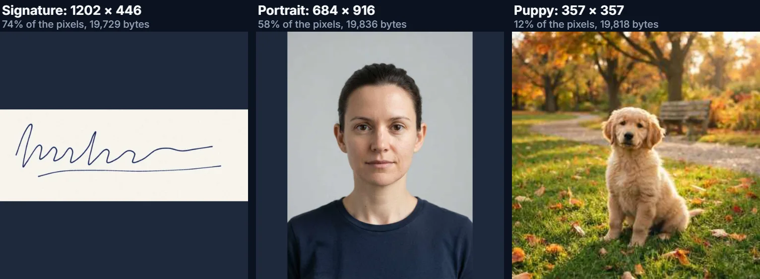 A signature, a portrait and a park photo each compressed under 20 KB, shown with their remaining sizes