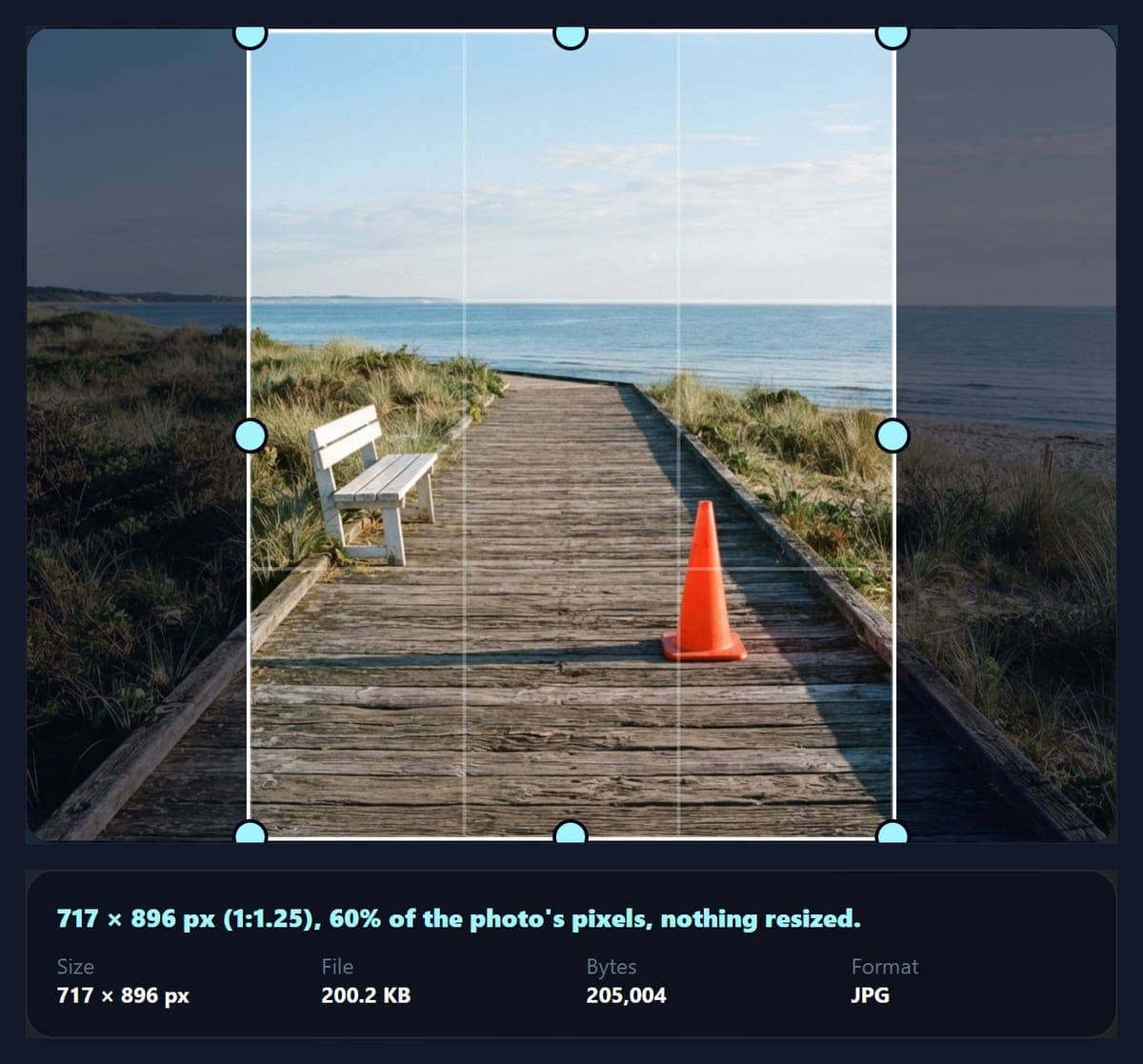 The crop tool with a 4:5 frame over the boardwalk photo and its result panel