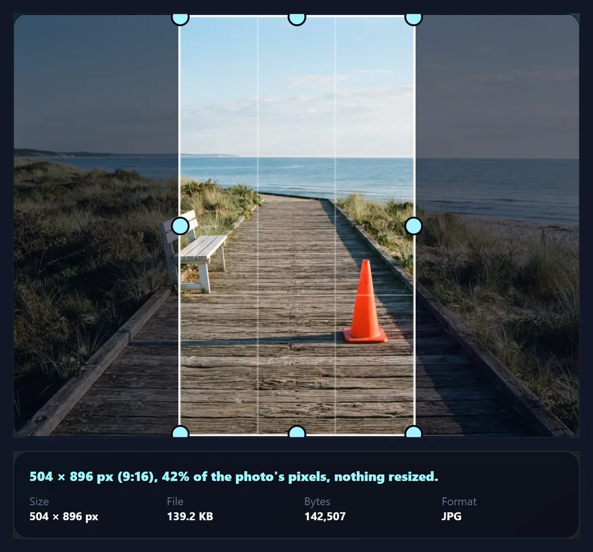The crop tool set to 9:16 on a landscape photo, keeping a narrow vertical strip