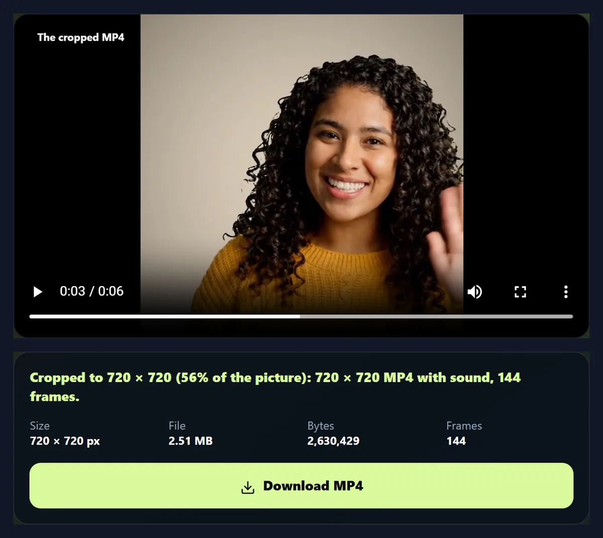 The cropped square MP4 in the tool