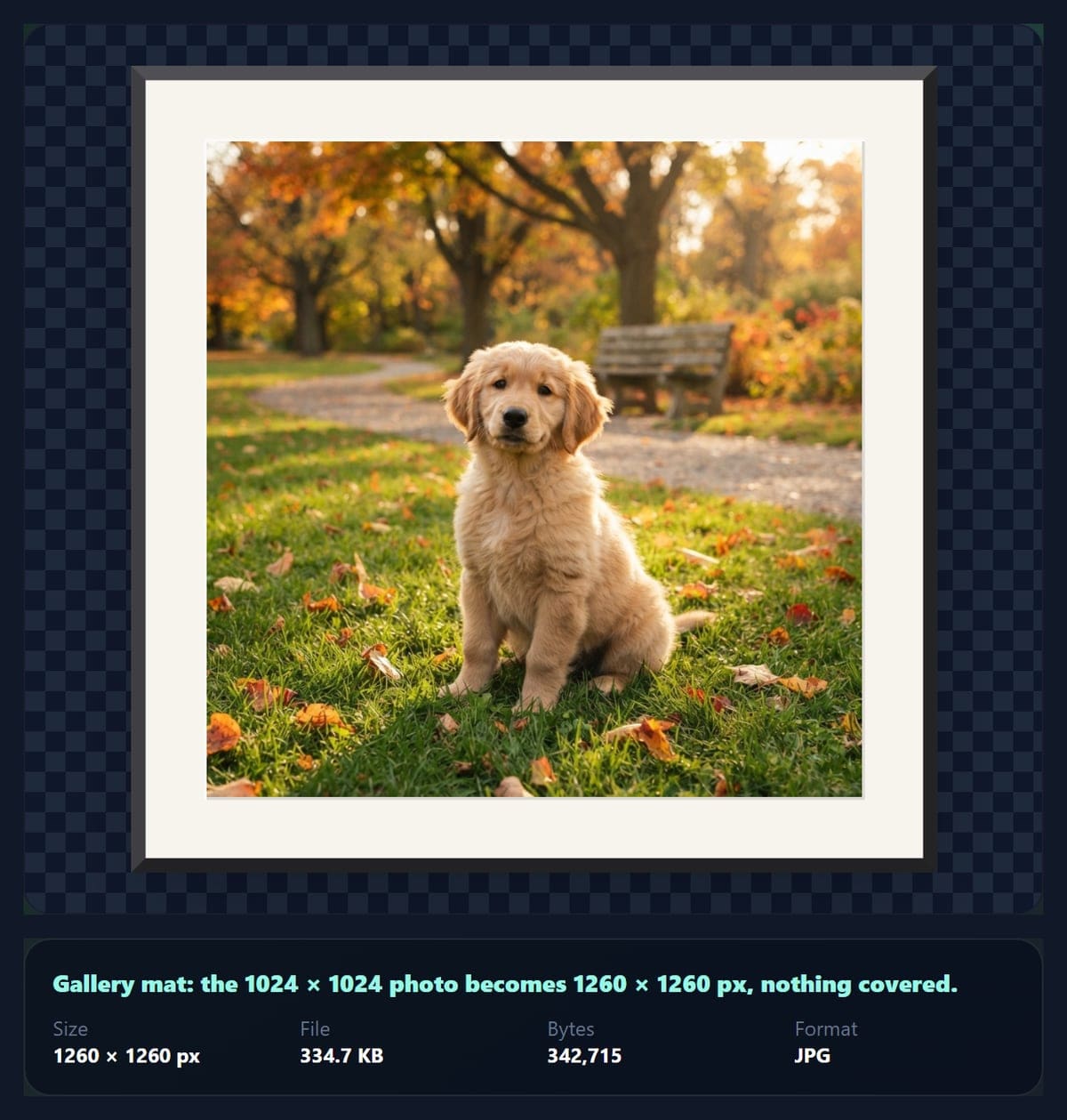 The photo frames tool showing the puppy photo in a cream gallery mat with a dark frame
