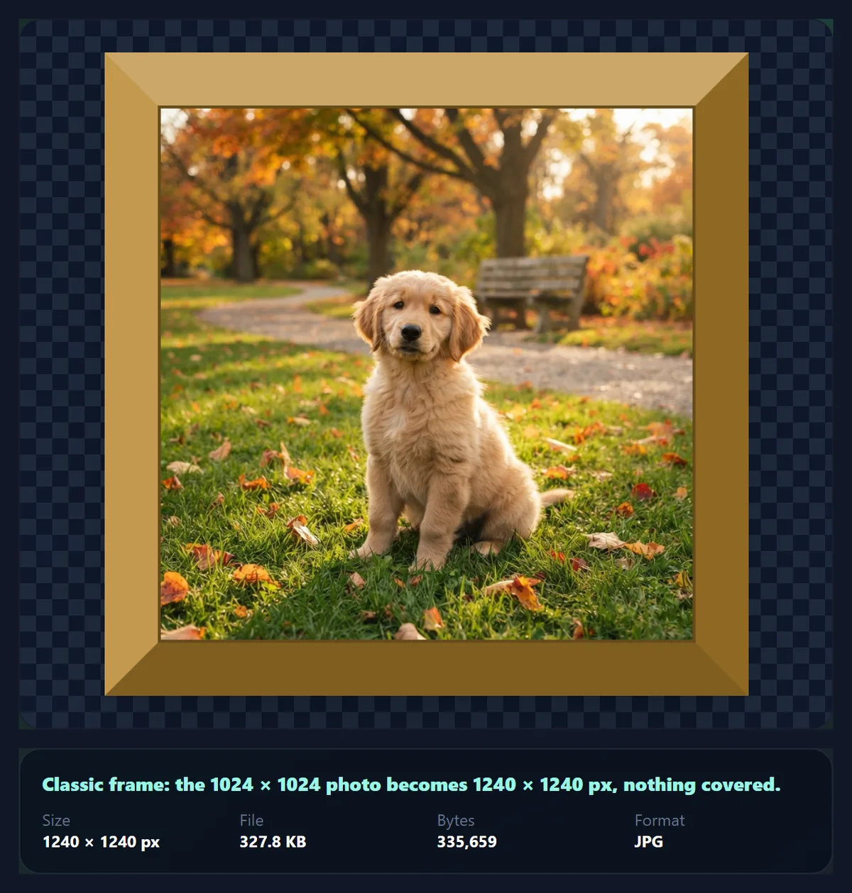 The frames tool showing a thick gold classic frame around the puppy photo