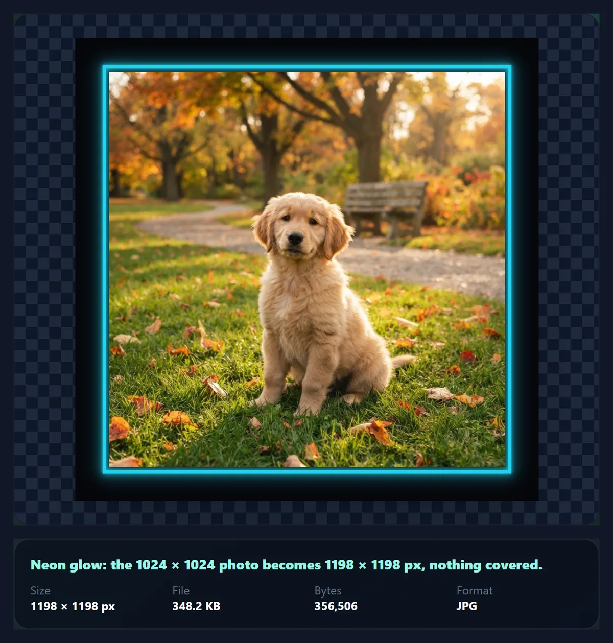 The puppy photo with a cyan neon glow frame on a dark backdrop