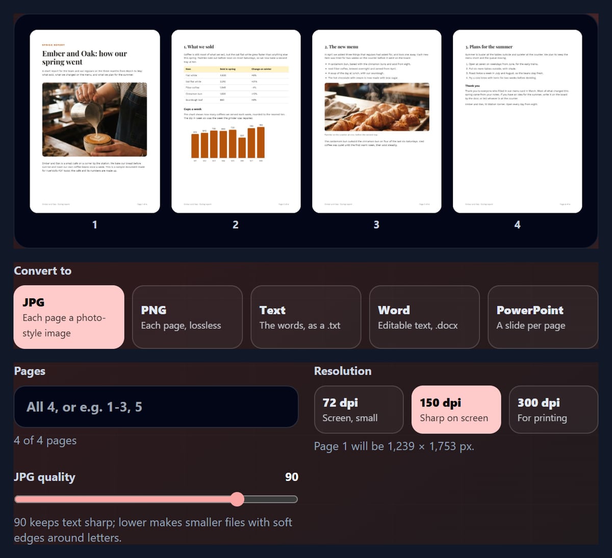 The PDF converter with a 4-page report open as thumbnails and five formats to convert to