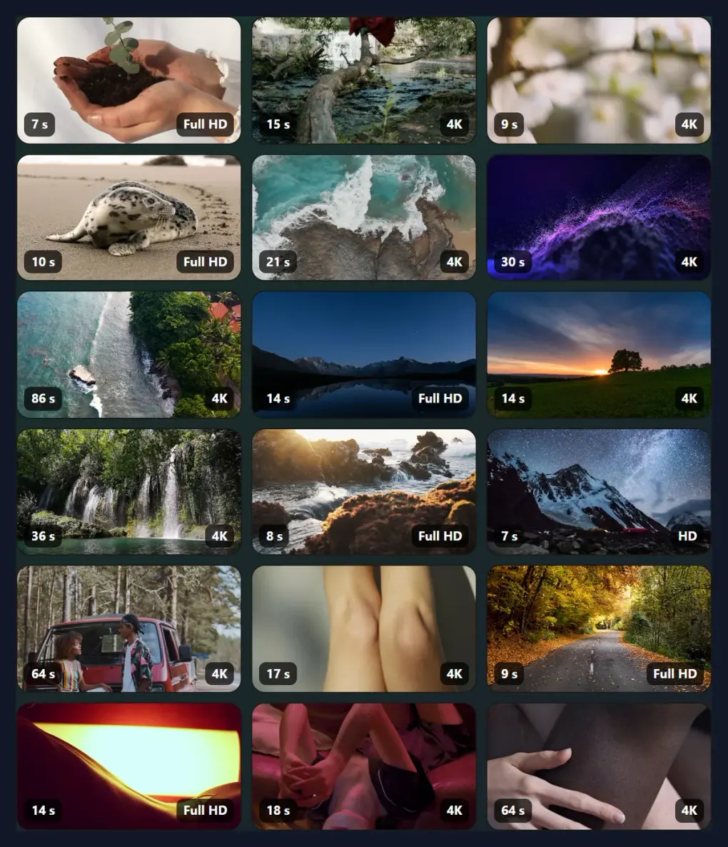 Popular stock videos shown before any search