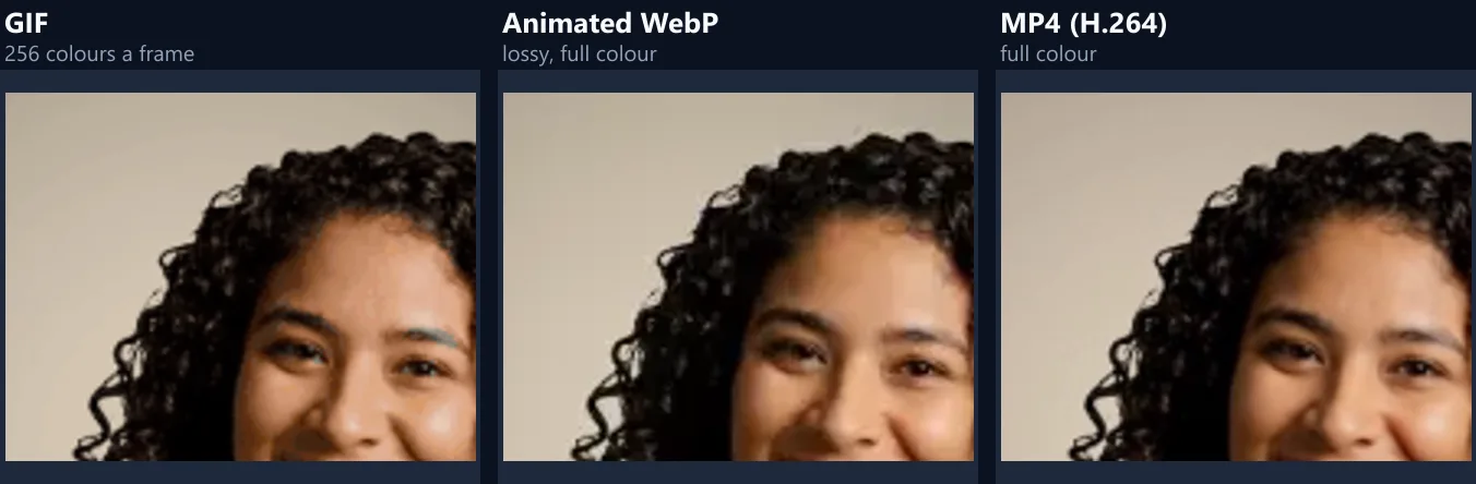 The same close-up of the woman’s face from the GIF, the animated WebP and the MP4; the GIF’s shading is coarser and speckled