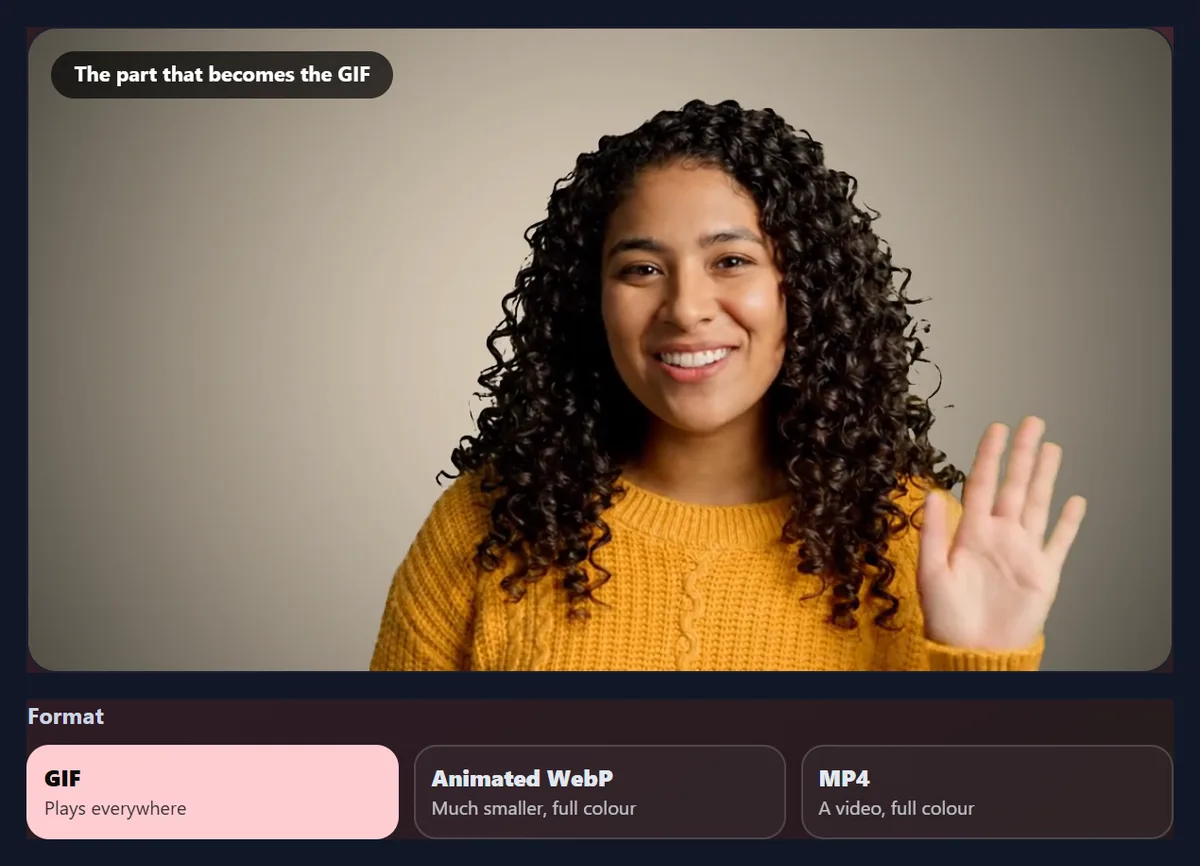 The converter with the sample video open above the three format choices: GIF, Animated WebP and MP4