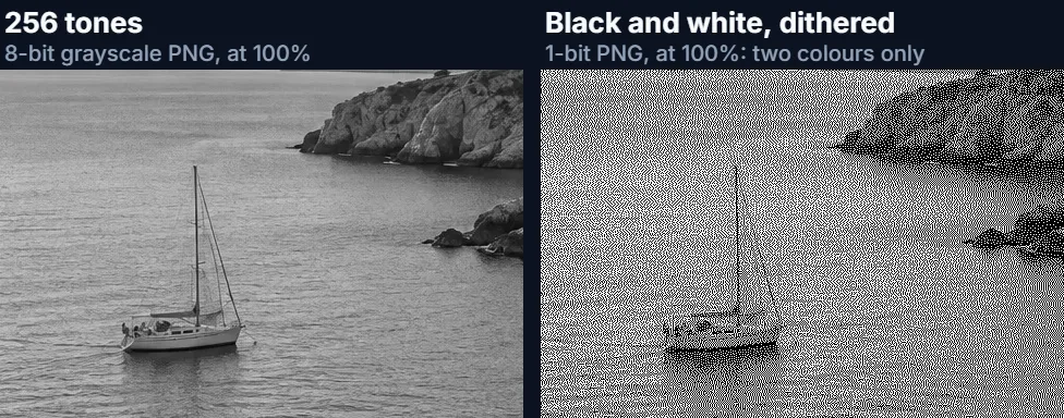 A crop of the sample at 100% in 256 greys and in dithered black and white