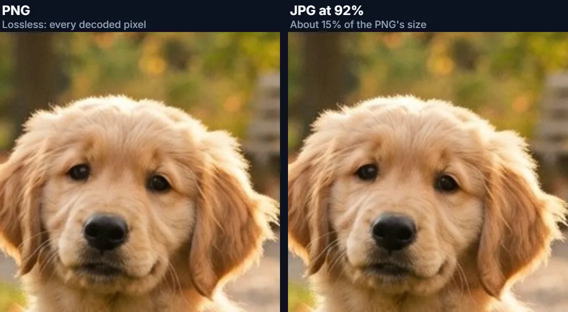 The same crop of a puppy photo saved as PNG and as JPG from a HEIC