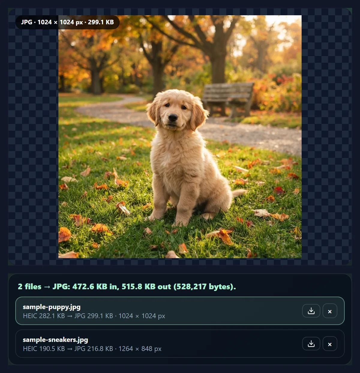 The converter after switching the same photos to JPG