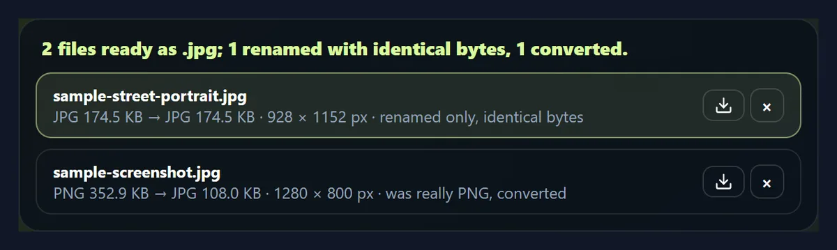 The list showing a .jpeg renamed to .jpg with identical bytes and a mislabelled file converted