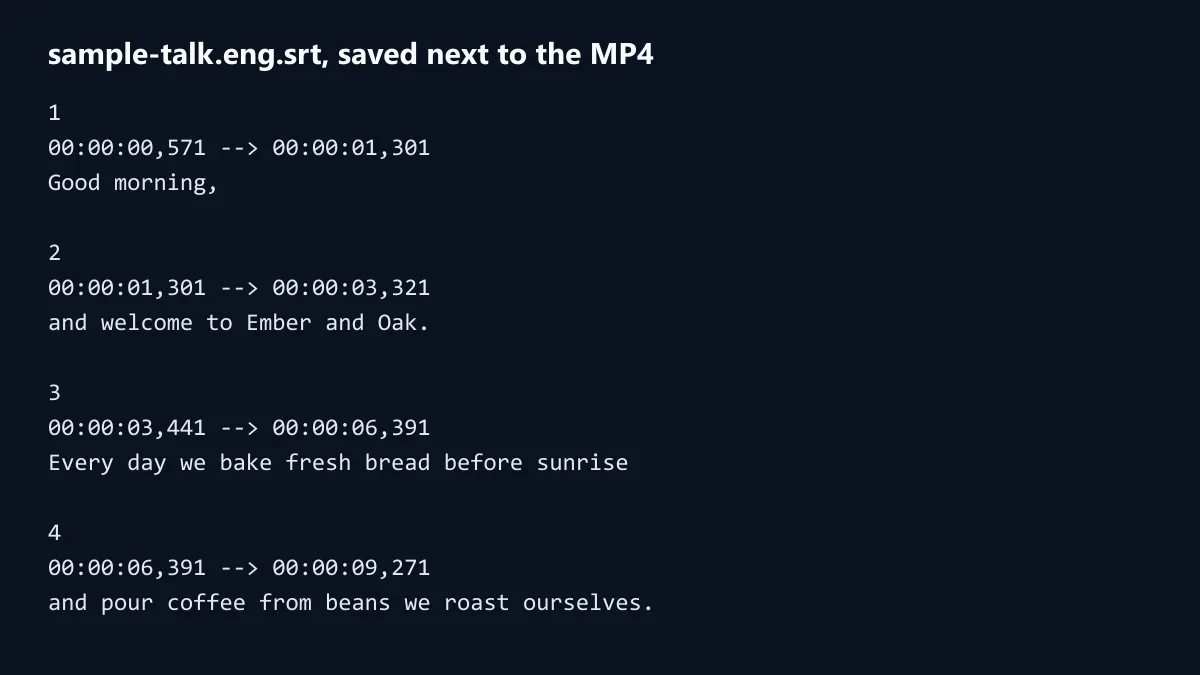 The SRT file saved from the sample MKV: numbered captions with start and end times and the words