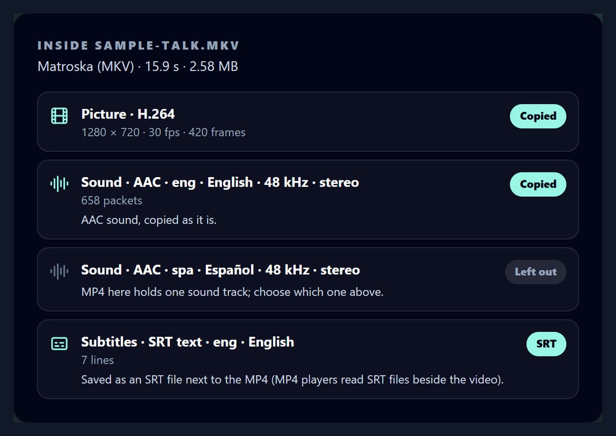The MKV to MP4 tool listing the tracks of the sample MKV