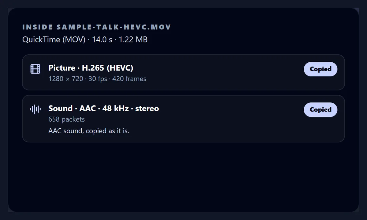 The tool listing an iPhone-style MOV: an H.265 (HEVC) picture and AAC sound, both to be copied
