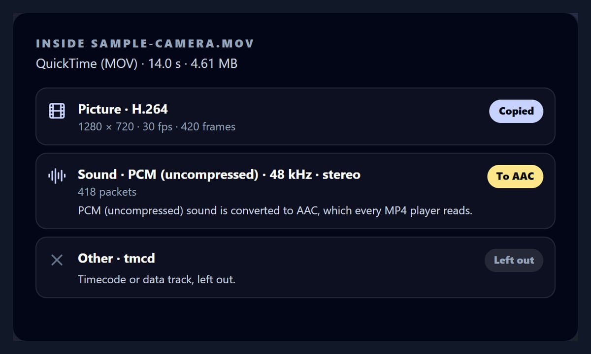 The MOV to MP4 tool listing a camera MOV's tracks