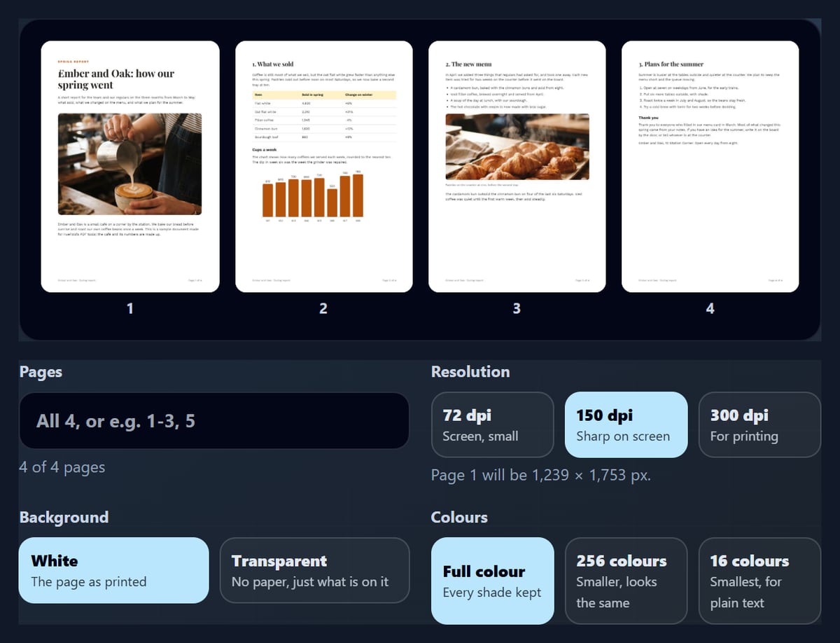The PDF to PNG tool with a 4-page report open as thumbnails, resolution, background and colour buttons