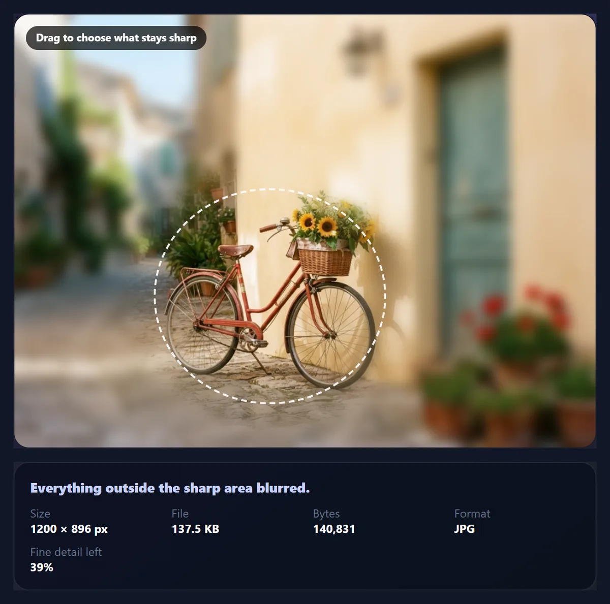 The photo blur tool keeping an ellipse around the bicycle sharp while the street behind is blurred
