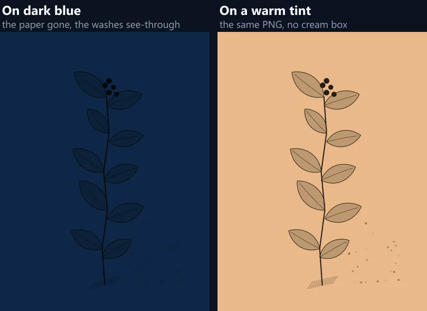 The ink drawing on dark blue and on a warm tint, with no paper behind it