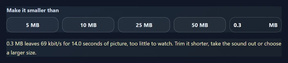 The tool explaining that 0.3 MB leaves too few bits for 14 seconds of picture