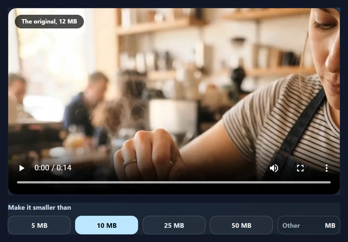 The Share Video tool with the sample video, the size limits 5, 10, 25 and 50 MB and a box for any other size