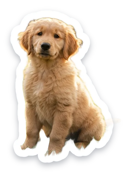 A puppy sticker with a white outline