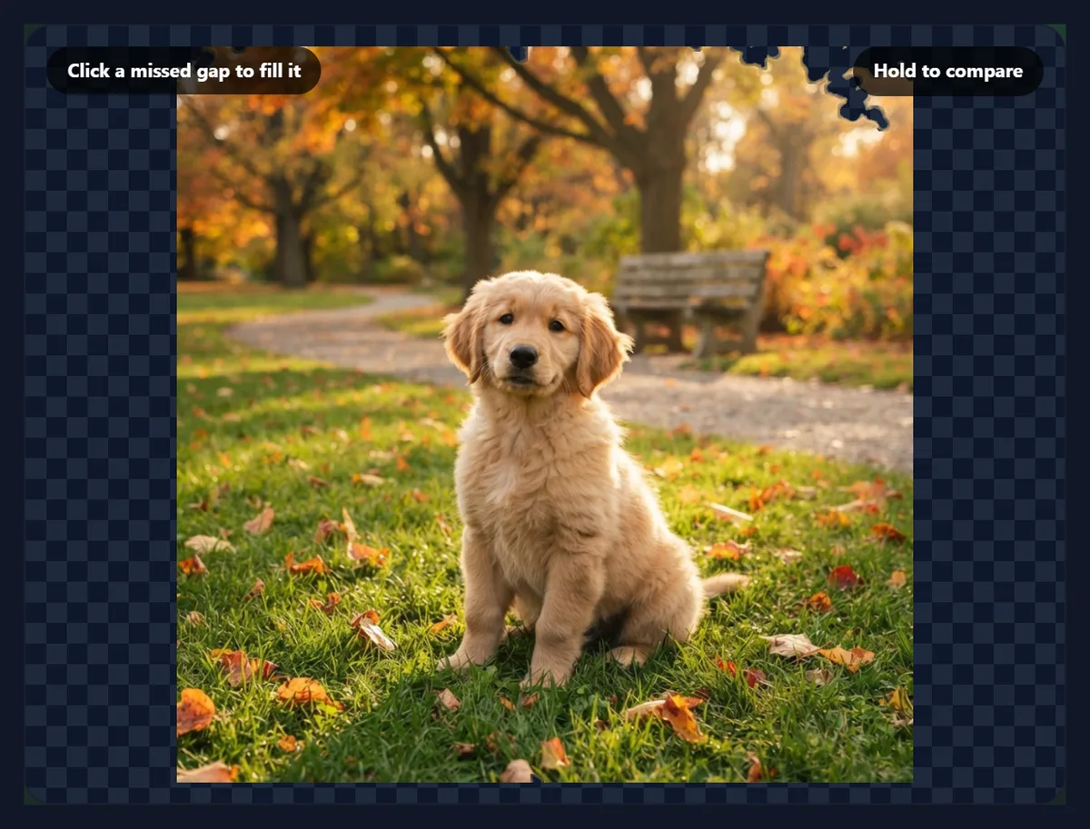 The puppy photo after the in-browser route, almost unchanged with a small cleared corner