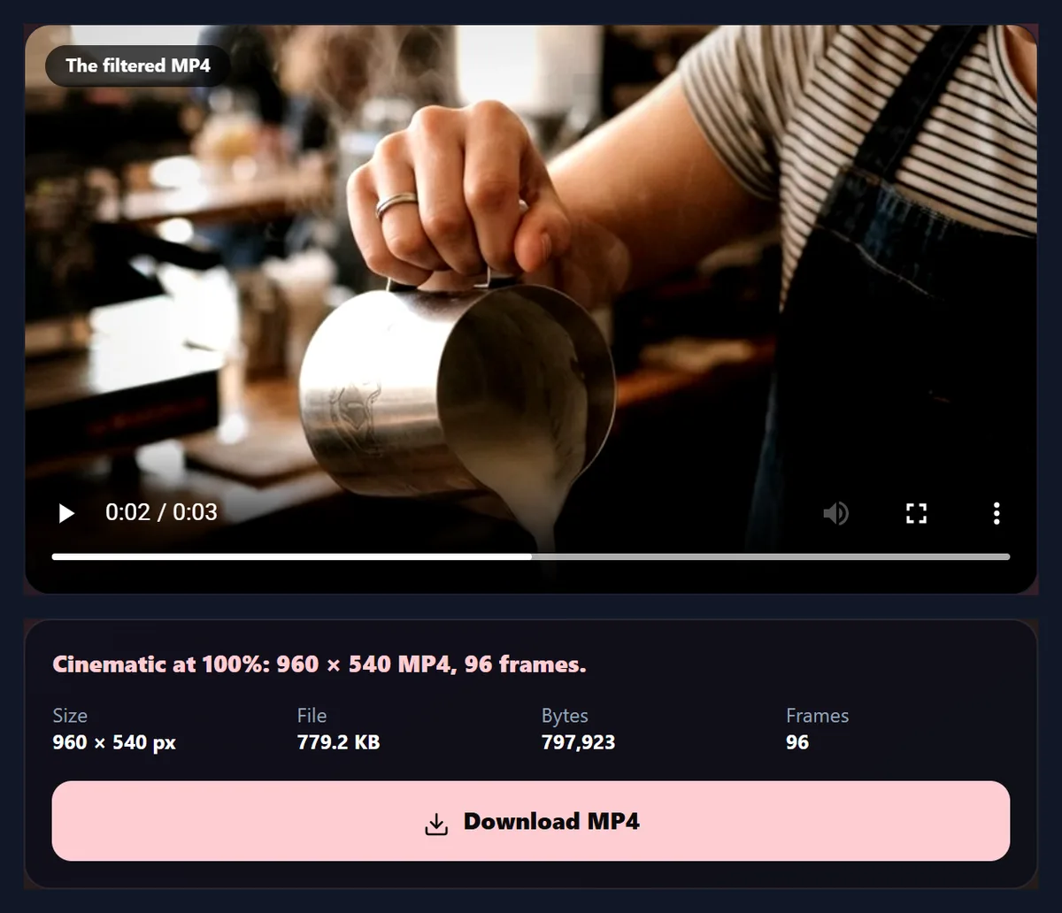 The filtered MP4 of the café sample in the tool, with its details