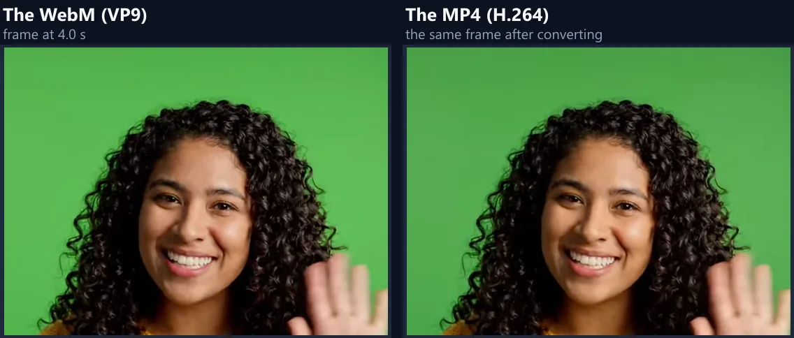 The same frame of the waving woman from the WebM and from the converted MP4, side by side, looking the same