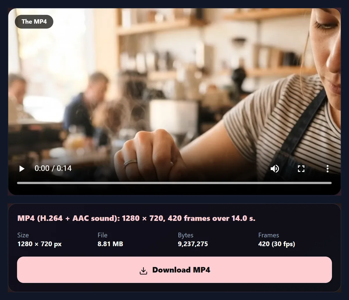 The converted MP4 playing in the tool, with its details: 1280 by 720, 8.81 MB, 420 frames at 30 frames a second, and a Download MP4 button