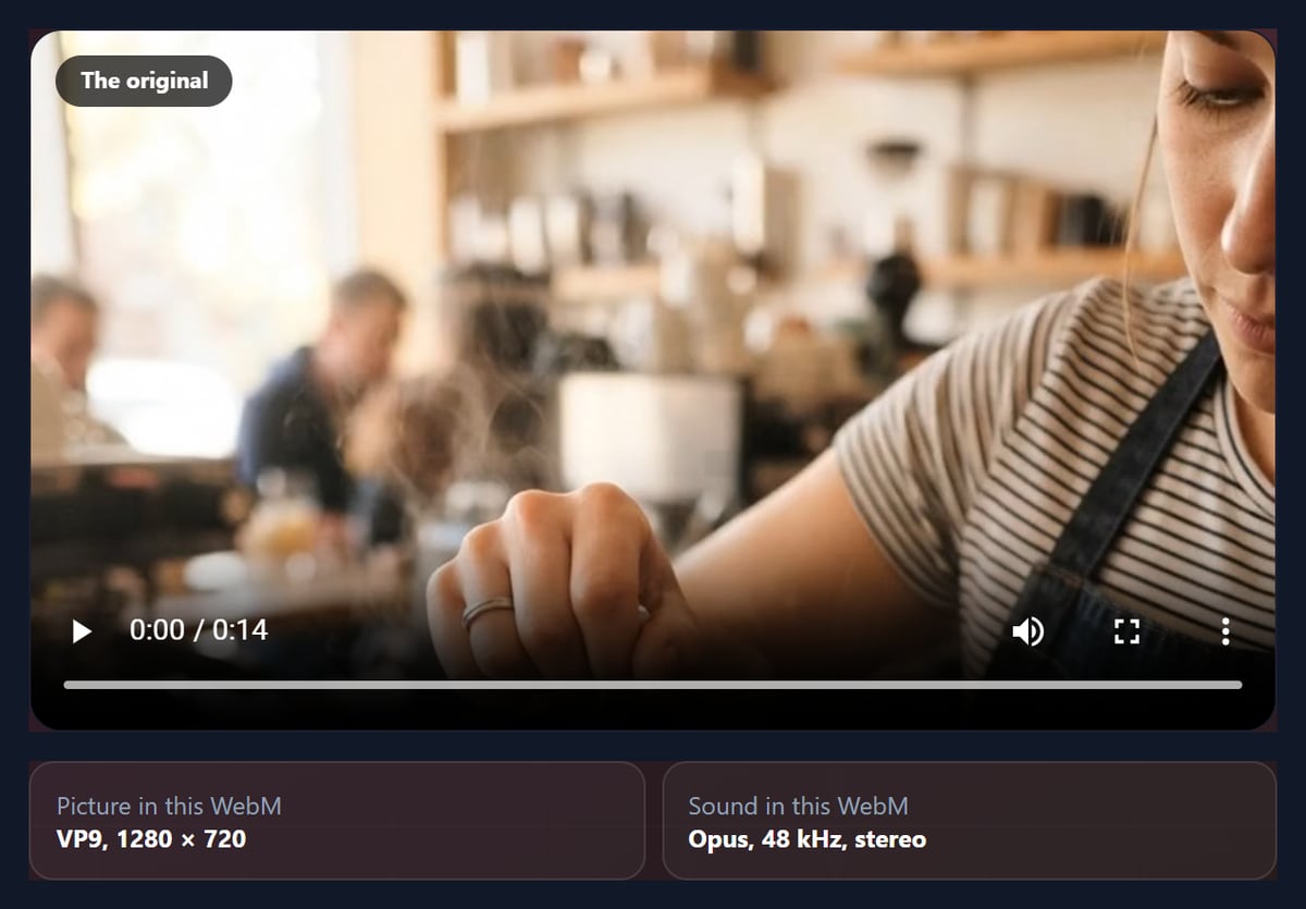 The WebM to MP4 tool with a VP9 and Opus WebM open