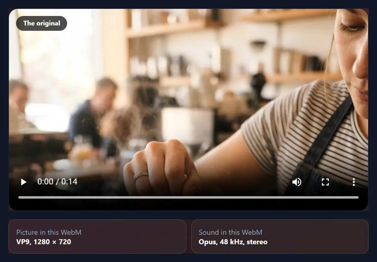 The WebM to MP4 tool playing a café video, with the file’s contents below: VP9 picture at 1280 by 720 and Opus sound at 48 kHz stereo