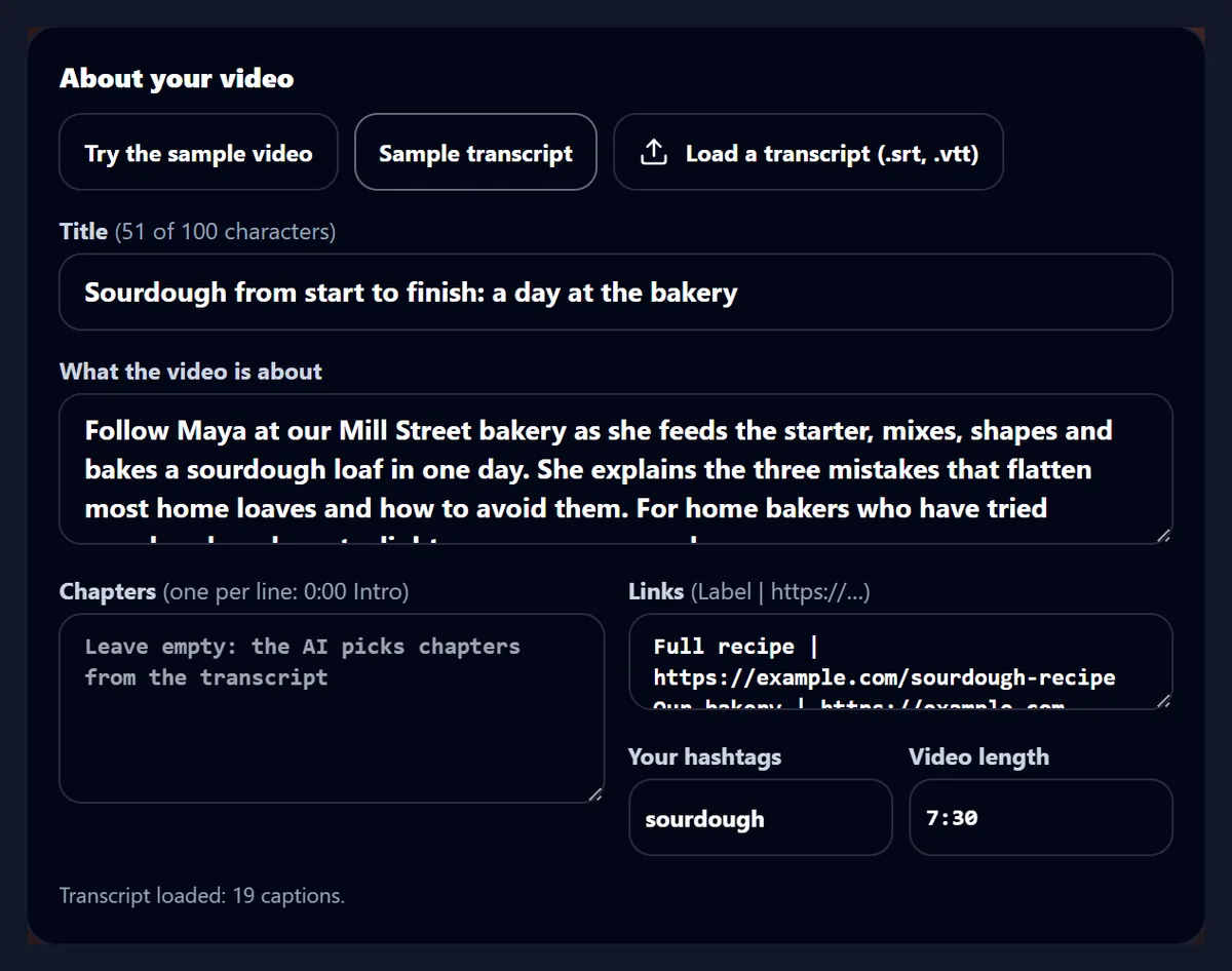 The details after Sample transcript: the chapters box empty with the hint Leave empty, the AI picks chapters from the transcript, and the note Transcript loaded: 19 captions